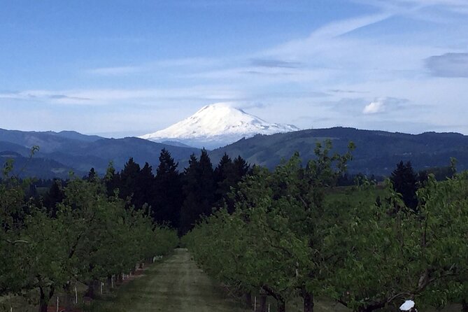 Private Tour at The Hood-Columbia Loop: Timberline, Orchards, and Waterfalls - Waterfalls, basalt, and the river crossing