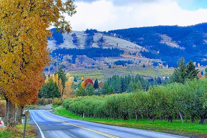 Private Tour at The Hood-Columbia Loop: Timberline, Orchards, and Waterfalls - Who should book this full-day loop