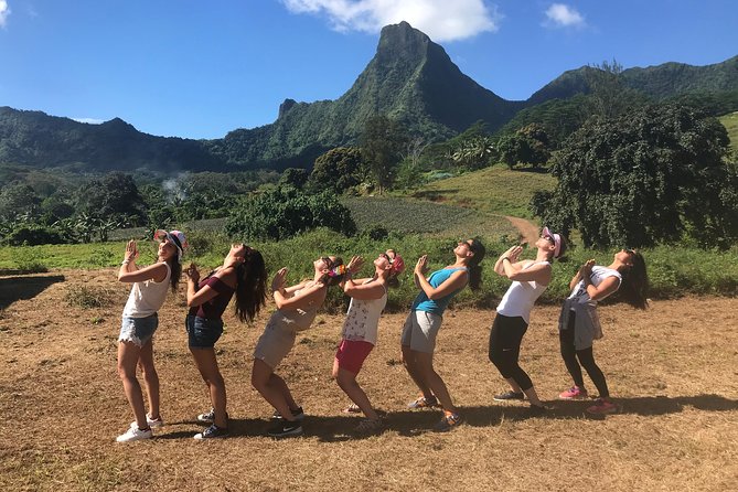 Private Tour Moorea 4WD - Belvedere Pineapple Farm, Magic Mount. - The big payoff at Magic Mountain
