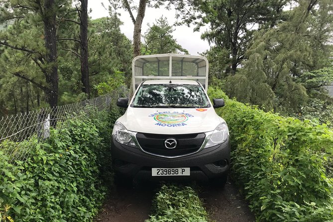 Private Tour Moorea 4WD - Belvedere Pineapple Farm, Magic Mount. - Pickup, timing, and comfort