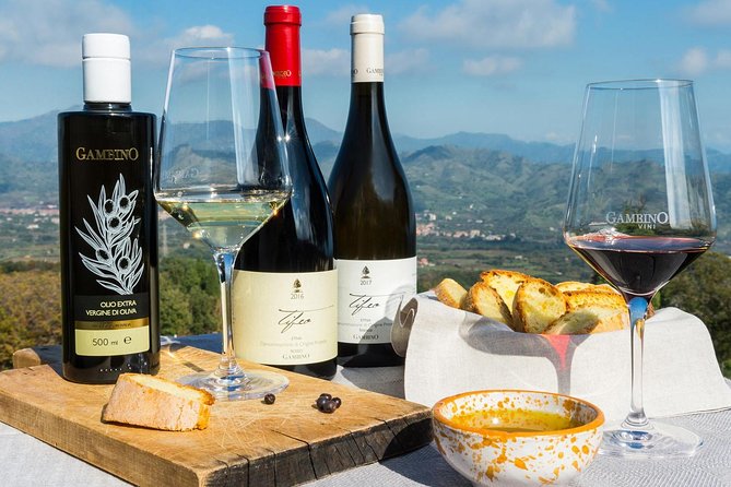 Private tour of Etna + Lunch in Pistachio Farm - From Messina to the slopes of Etna