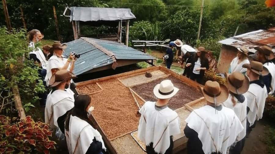 Private Tour to Coffee Farm (farm of your choice) - What the three-hour farm visit covers