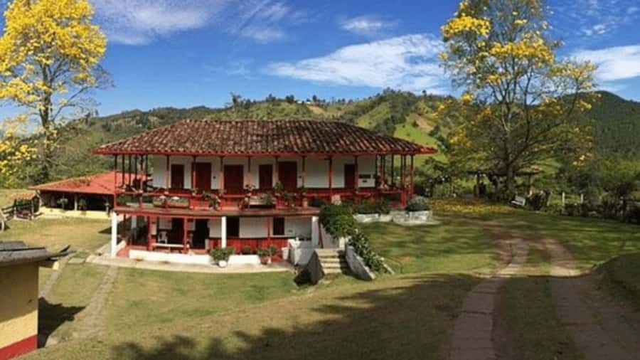 Private Tour to Coffee Farm (farm of your choice) - The ride from Pereira makes the day simple