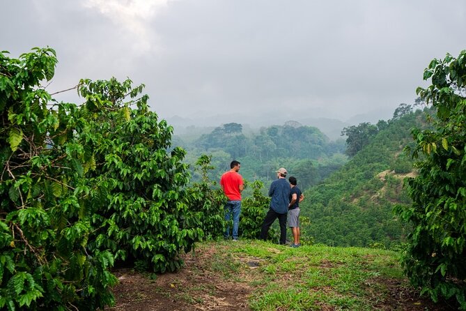 Private Tour to Fairview Coffee Farm in Nairobi with Pickup - Inside the factory, where coffee changes form