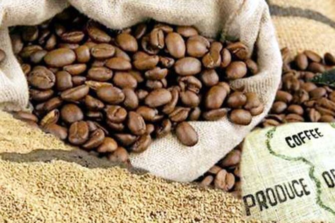 Private Tour to Fairview Coffee Farm in Nairobi with Pickup - The coffee lab and the roasting stage