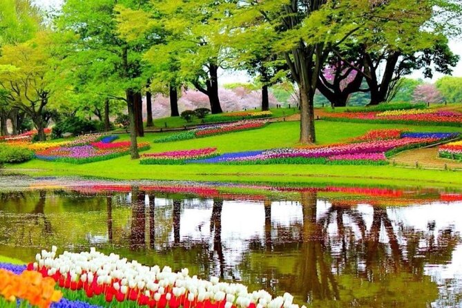Private Tour to Tulips, Keukenhof, Windmills & Cheese Farm - Four Dutch highlights without changing trains