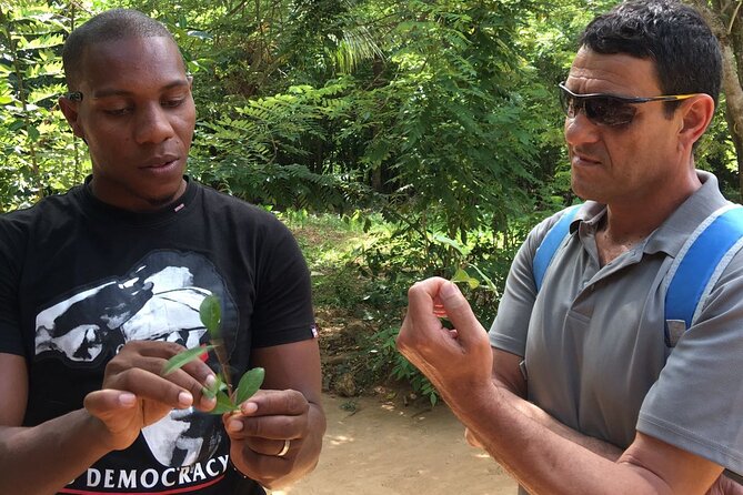 Private Tour Zanzibar Unique Stone Town with spice Farm Plantations - Meeting Stone Town at the former slave market