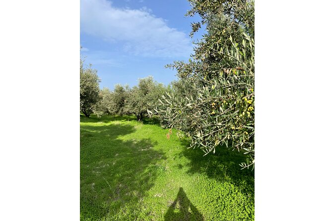Private Traditional Olive Grove and Dragon Fruit Farm Tour - What the $9.61 price really gets you