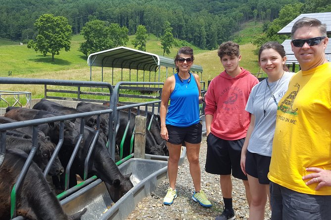 Private Walking Tour of a Real Working Cattle Ranch - A working ranch, not a staged farm attraction
