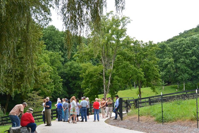 Private Walking Tour of a Real Working Cattle Ranch - Planning the visit in Hayesville