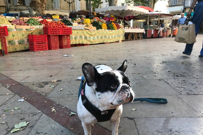 Provençal Farmers market tour - What Edouard adds to the market walk