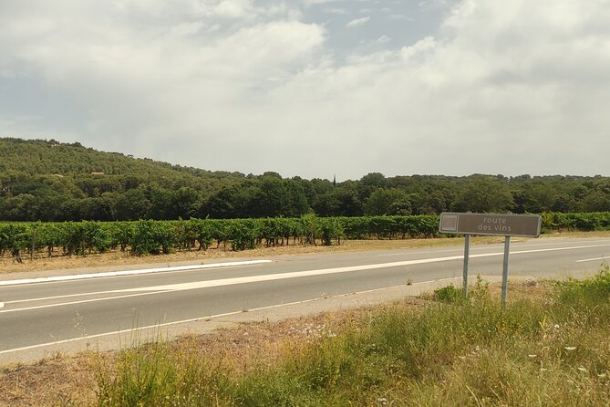 Provençal Morning Farmers Market & Food Discovery Tour - Practical details that matter