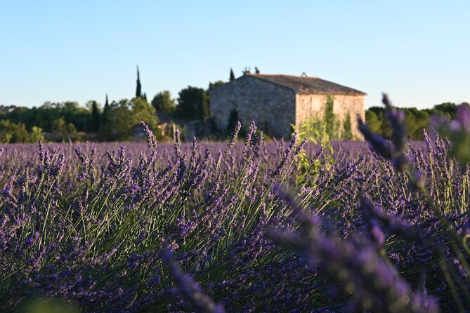 Provençal Morning Farmers Market & Food Discovery Tour - The charcuterie tasting is the main food bonus