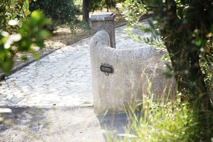 Provence Olive Harvest - A farm tour with more than olive trees