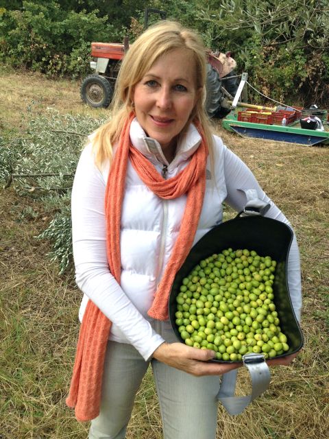 Provence Olive Harvest - My take on the strongest moments