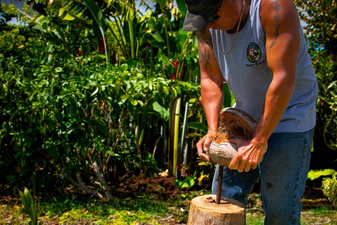 Pueo Farm Tour (1.5 hr) Upcountry Kula Maui Hawaii - A farm visit with Maui in every direction