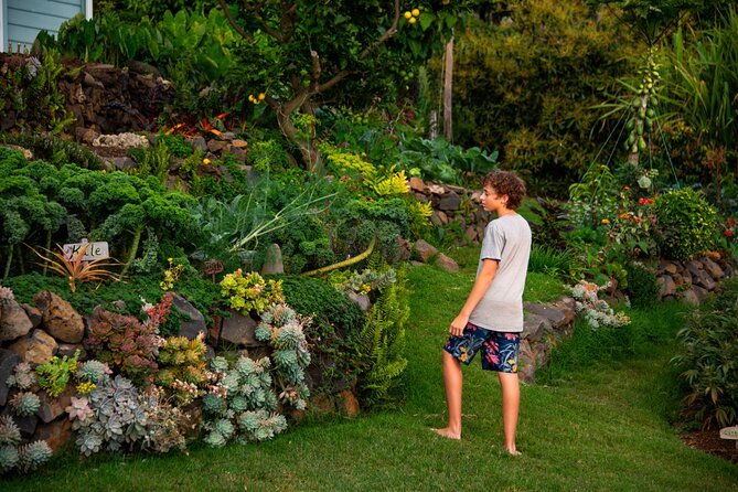 Pueo Farm Tour (1.5 hr) Upcountry Kula Maui Hawaii - Meeting Linda and Angel at Pueo Farm
