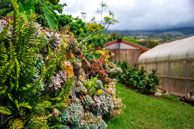 Pueo Farm Tour (1.5 hr) Upcountry Kula Maui Hawaii - The Upcountry viewpoint