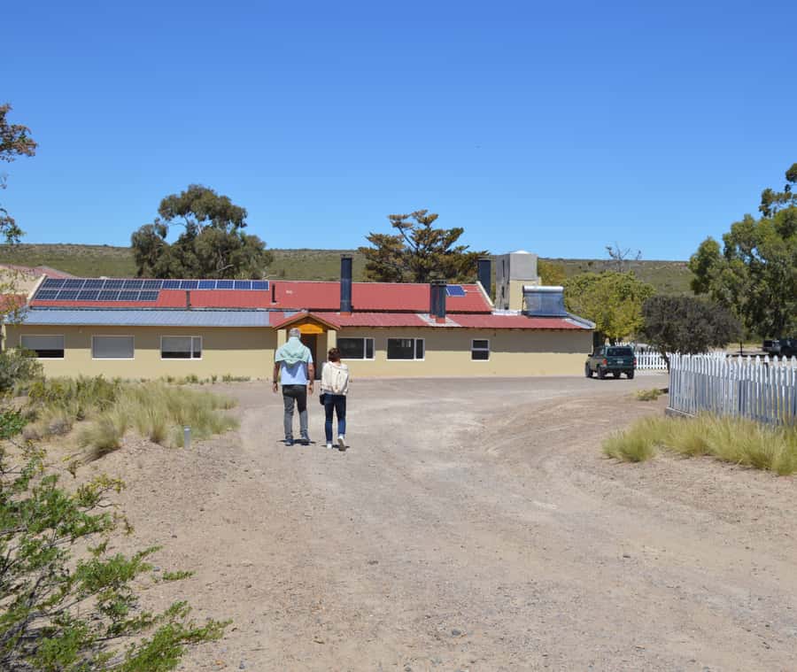 Punta Loma + Ranch Shore Excursion for cruise passengers - Leaving Piedrabuena Pier with little fuss