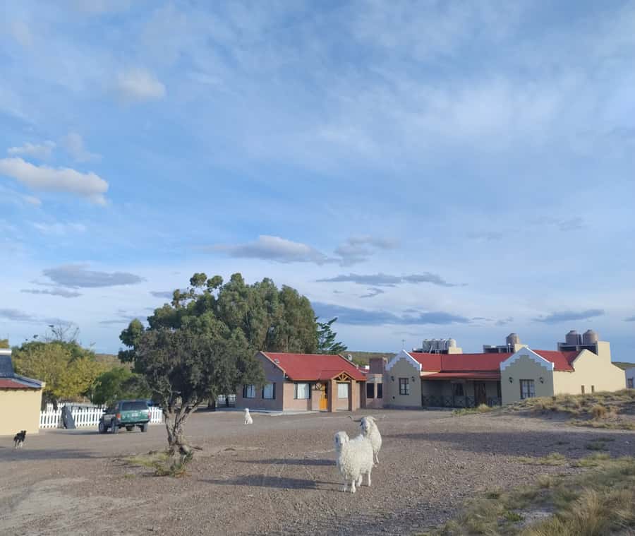 Punta Loma + Ranch Shore Excursion for cruise passengers - Lamb empanada and lamb goulash for lunch