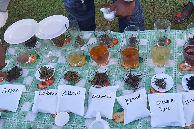 Purple Tea Farm Tour from Nairobi City - Specialty Tea Tasting - A three-course lunch before the tasting