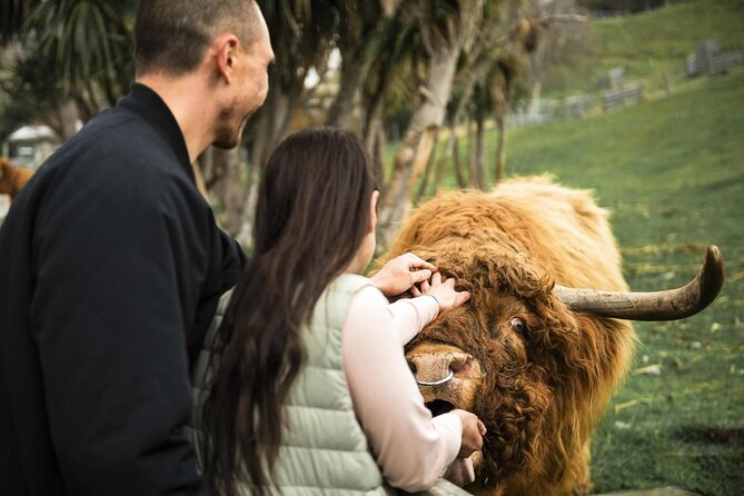 Queenstown Lake Cruise and Walter Peak Farm Adventure - Key details before you book