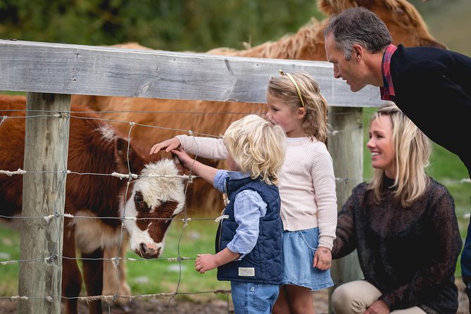 Queenstown Lake Cruise and Walter Peak Farm Adventure - Who will get the most from this outing?