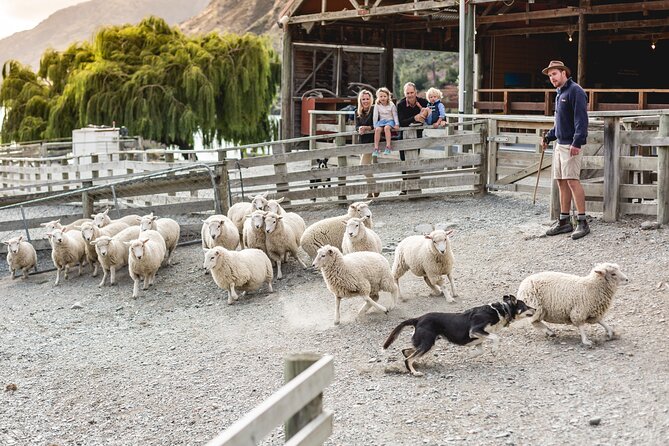 Queenstown Lake Cruise and Walter Peak Farm Adventure - Practical tips for a smoother visit