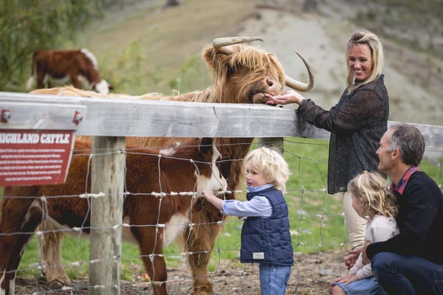 Queenstown: Queenstown Lake Cruise and Walter Peak Farm Tour - Why the Lake Whakatipu crossing is more than transport