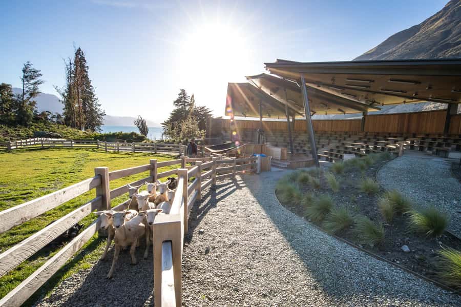 Queenstown: Queenstown Lake Cruise and Walter Peak Farm Tour - Who will get the most from Walter Peak