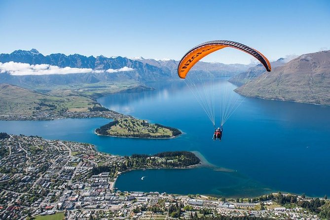 Queenstown: Walter Peak Farm Tour and Lake Cruise - Seeing sheep shearing in action
