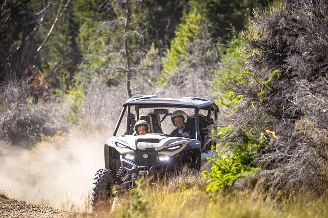 Queenstown: Walter Peak Farm Tour and Lake Cruise - Who will enjoy this farm and lake combination?