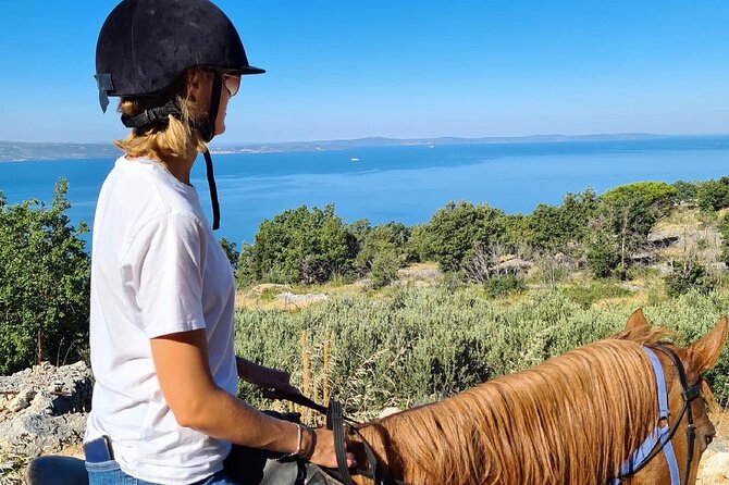 Ranch 22 Podstrana, " Horse riding 12 km from SPLIT " - Calm horses and a careful first lesson