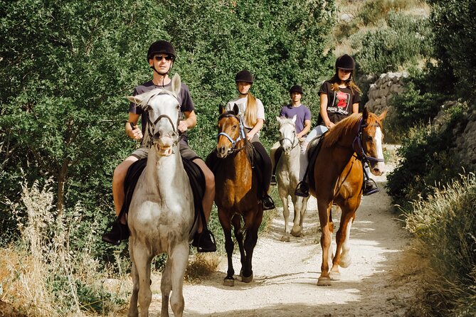 Ranch 22 Podstrana, " Horse riding 12 km from SPLIT " - A small group makes a difference