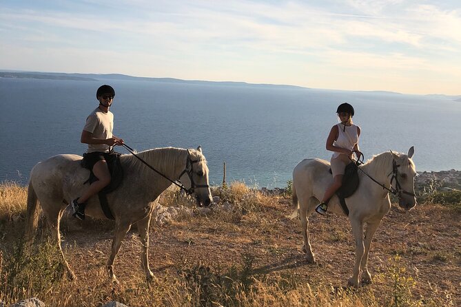 Ranch 22 Podstrana, " Horse riding 12 km from SPLIT " - Is the $105 price fair?