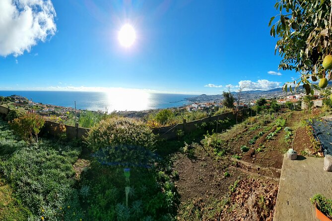 "Re-Canto" Farm-to-Table with Stunning Views at Madeira - Timing, transport, and comfort