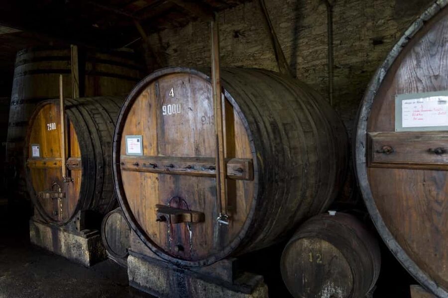 Régua: Wine Tasting at a Farm, Traditional Lunch, Cruise and Train - A full day that shows the Douro in four ways