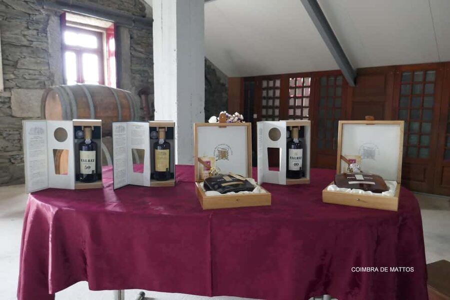 Régua: Wine Tasting at a Farm, Traditional Lunch, Cruise and Train - São Leonardo de Galafura and the broad Douro view