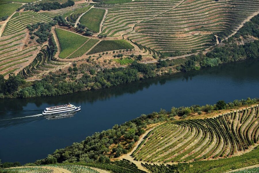 Régua: Wine Tasting at a Farm, Traditional Lunch, Cruise and Train - Free time in Pinhão, then the train back