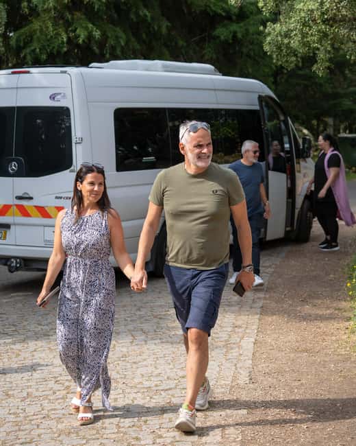 Régua: Wine Tasting at a Farm, Traditional Lunch, Cruise and Train - How the transport shapes the day