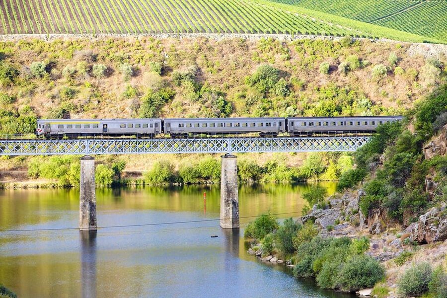 Régua: Wine Tasting at a Farm, Traditional Lunch, Cruise and Train - Who will get the most from this Douro day