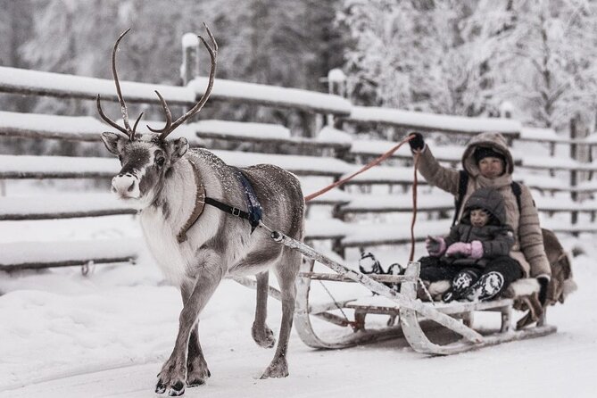REINDEER FARM VISIT a real authentic experience - Key points before you book