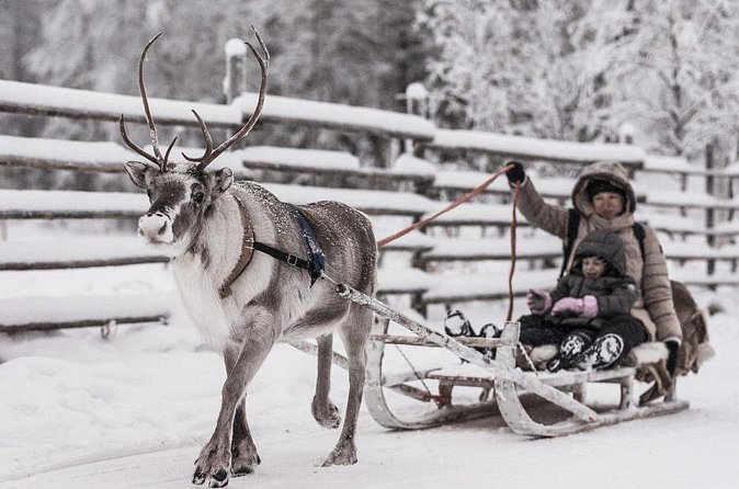 REINDEER FARM VISIT a real authentic experience - Should you book the reindeer farm visit?