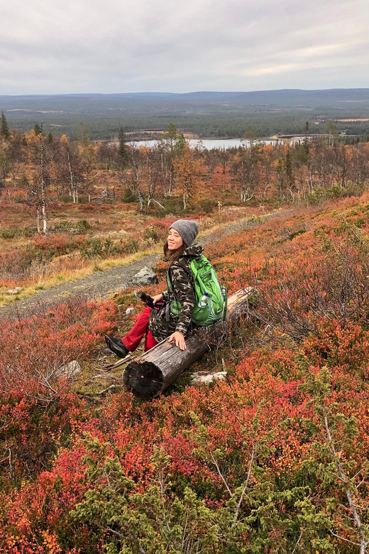 Reindeer Farm Visit & Wilderness Fell Adventure - Autumn color, berries, and changing conditions