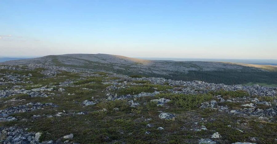 Reindeer Farm Visit & Wilderness Fell Adventure - Is $305 a fair price?