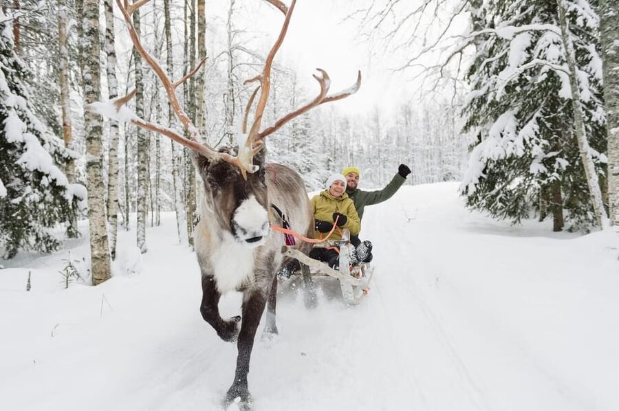 Reindeer Farm Visit with Sleigh Ride - Warm drinks, snacks, and the cold