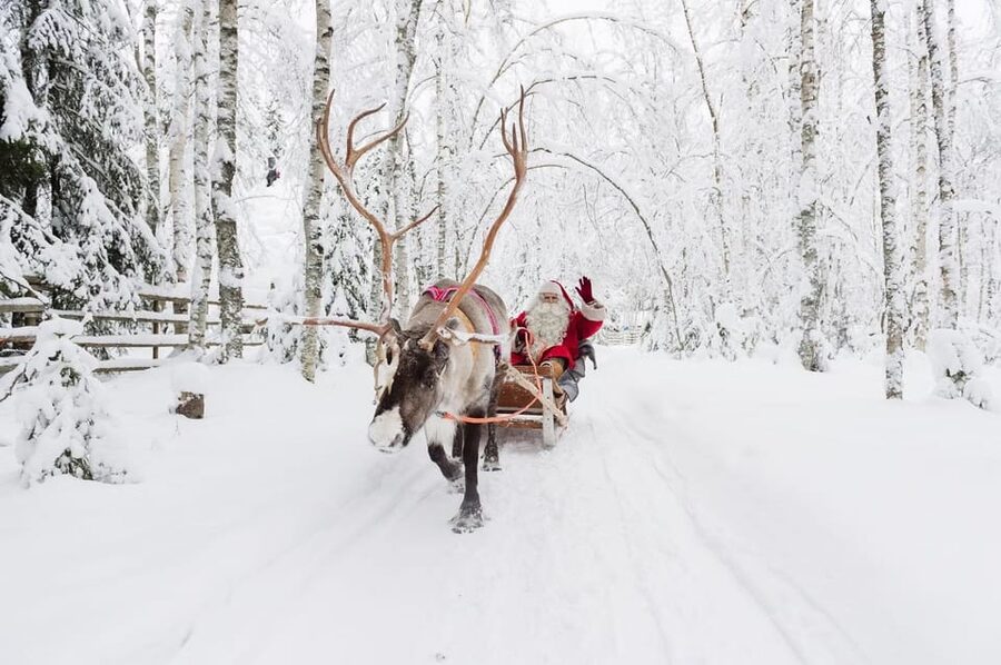 Reindeer Farm Visit with Sleigh Ride - Should you book the reindeer farm visit?