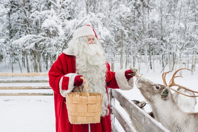 Reindeer Sleigh Ride and Farm Experience from Rovaniemi - Key points to know before you book