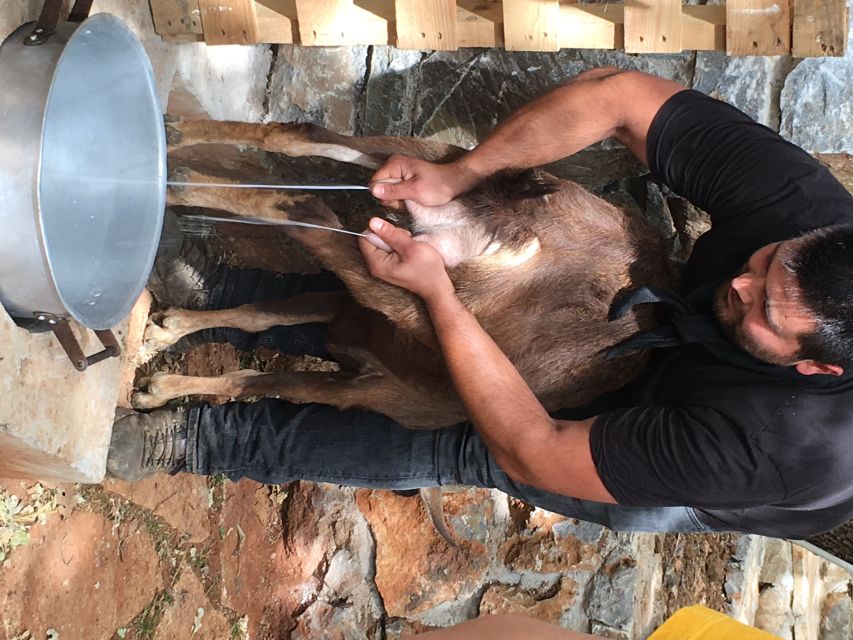 Rethymno 4x4 Safari: Tastes & Farm Experience - Why this Cretan day feels different from a standard excursion