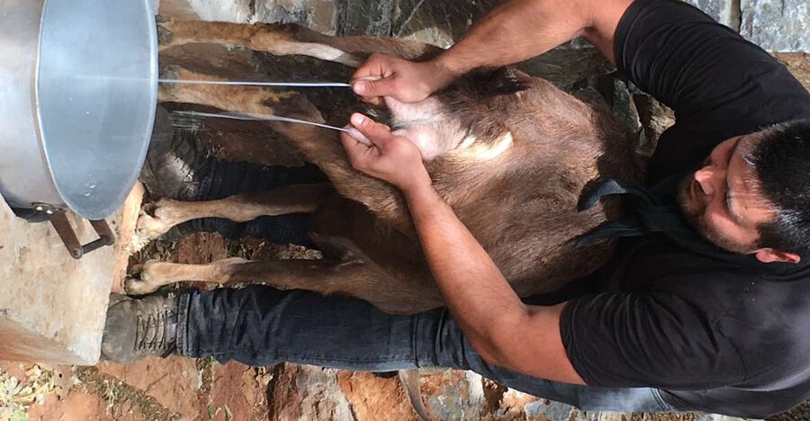 Rethymno 4x4 Safari: Tastes & Farm Experience - Leaving the pavement for the mitato